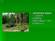 Prezentācija 'Ekoloģisko faktoru daudzveidība', 11.
