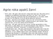Prezentācija 'Roks un tā apakšžanri', 4.