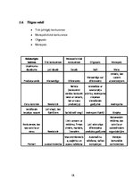 Referāts 'Restorāna "Provansa" tirgus analīze', 15.