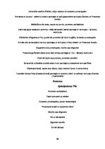 Referāts 'Restorāna "Provansa" tirgus analīze', 40.