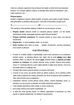 Paraugs 'Zinātniski pētniecisko, praktisko darbu, projektu u.c. darbu noformēšana', 6.