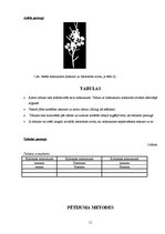 Paraugs 'Zinātniski pētniecisko, praktisko darbu, projektu u.c. darbu noformēšana', 11.