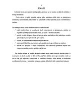 Referāts 'Optimālais patēriņa plāns', 3.