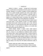 Referāts 'Konflikti', 2.