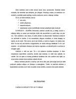 Referāts 'Konflikti', 3.