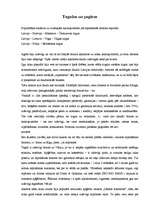 Referāts 'Iepirkšanās tūrisms', 2.