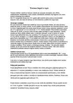 Referāts 'Iepirkšanās tūrisms', 4.