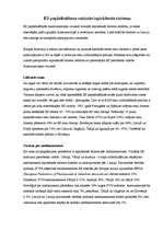 Referāts 'Iepirkšanās tūrisms', 5.