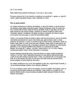 Referāts 'Iepirkšanās tūrisms', 9.