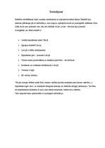 Referāts 'Iepirkšanās tūrisms', 12.