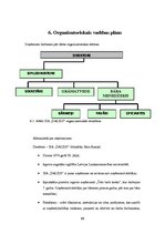 Biznesa plāns 'Biznesa plāns uzņēmuma SIA "Dalius"', 22.