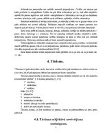 Referāts 'Ārpuscenas faktors - tūrisma subjektīvais novērtējums', 7.