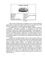 Referāts 'Ārpuscenas faktors - tūrisma subjektīvais novērtējums', 15.