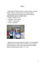 Referāts 'Uzņēmuma "Grindex" apraksts', 4.