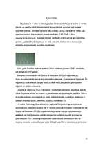 Referāts 'Uzņēmuma "Grindex" apraksts', 11.