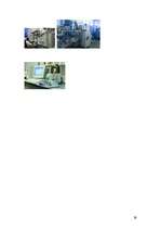 Referāts 'Uzņēmuma "Grindex" apraksts', 29.