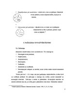 Referāts 'Saskarsme', 9.