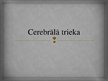 Prezentācija 'Cerebrālā trieka', 1.