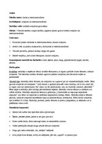 Konspekts 'Pašdarināta rotaļlieta', 1.