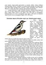 Referāts 'Latvijas dzeņi', 4.