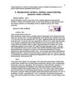 Referāts 'Tautsaimniecība', 13.