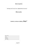 Biznesa plāns 'Sabiedrība ar ierobežotu atbildību "Tulpe"', 1.