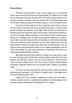 Biznesa plāns 'Sabiedrība ar ierobežotu atbildību "Tulpe"', 4.