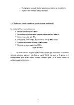 Biznesa plāns 'Sabiedrība ar ierobežotu atbildību "Tulpe"', 9.