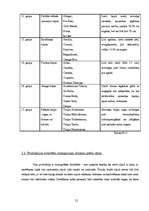 Biznesa plāns 'Sabiedrība ar ierobežotu atbildību "Tulpe"', 12.