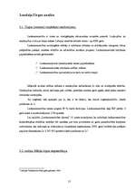 Biznesa plāns 'Sabiedrība ar ierobežotu atbildību "Tulpe"', 15.