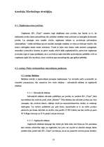 Biznesa plāns 'Sabiedrība ar ierobežotu atbildību "Tulpe"', 19.