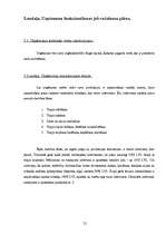 Biznesa plāns 'Sabiedrība ar ierobežotu atbildību "Tulpe"', 21.