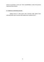 Biznesa plāns 'Sabiedrība ar ierobežotu atbildību "Tulpe"', 24.