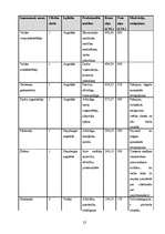 Biznesa plāns 'Sabiedrība ar ierobežotu atbildību "Tulpe"', 25.