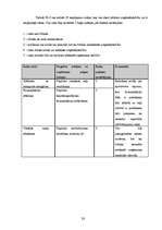 Biznesa plāns 'Sabiedrība ar ierobežotu atbildību "Tulpe"', 28.