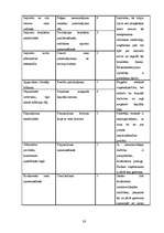 Biznesa plāns 'Sabiedrība ar ierobežotu atbildību "Tulpe"', 29.