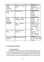 Biznesa plāns 'Sabiedrība ar ierobežotu atbildību "Tulpe"', 30.