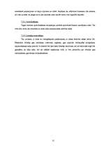 Biznesa plāns 'Sabiedrība ar ierobežotu atbildību "Tulpe"', 31.