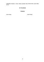 Biznesa plāns 'Sabiedrība ar ierobežotu atbildību "Tulpe"', 45.