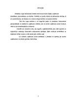 Referāts 'Maksātnespēja', 2.