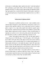 Referāts 'Lidosta "Rīga" - viena no visstraujāk augošajām lidostām Eiropā', 6.