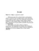 Referāts 'Modernās reliģijas un pasaules uzskati', 2.