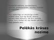 Prezentācija 'Apģērba krāsu psiholoģija', 18.