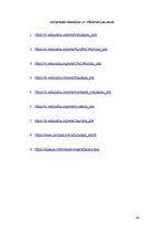 Referāts 'Pilis Latvijā', 28.