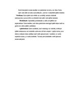 Konspekts 'Netradicionālās sporta spēles. Nolikums', 4.