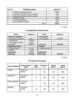 Biznesa plāns 'SIA "Mazā kāpa" biznesa plāns', 21.