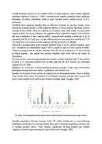 Prakses atskaite 'Sugu daudzveidības salīdzinājums sausieņu un purvaiņu mežu biotopos', 14.