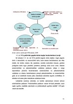 Diplomdarbs 'Sociālās apdrošināšanas analīze bezdarba gadījumā', 61.