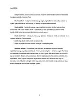 Referāts 'Meža analīze', 2.