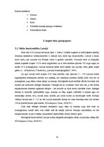 Referāts 'Meža analīze', 10.